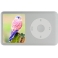 Плеер Apple iPod classic 3 160Gb (серебристый)