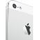 Смартфон Apple iPhone 5 32Gb (белый)
