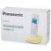 Телефон DECT Panasonic KX-TGC 310 RUY