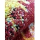 Ковер Merinos Crystal (арт.2910 Multicolor) 2000*3000мм 00931040