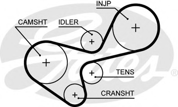 5639XS GATES Ремень ГРМ
