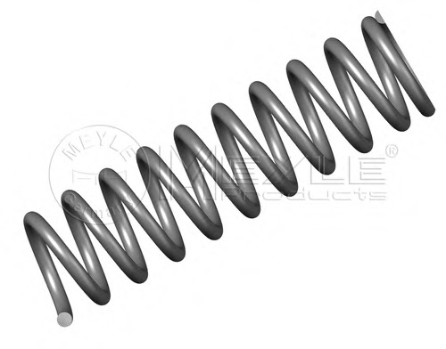 14319521 CS Germany Пружина ходовой части