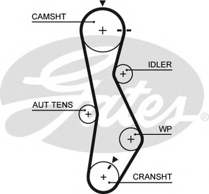 5579XS GATES Ремень ГРМ