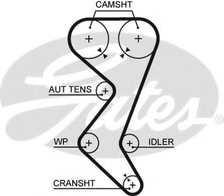 5528XS GATES Ремень ГРМ