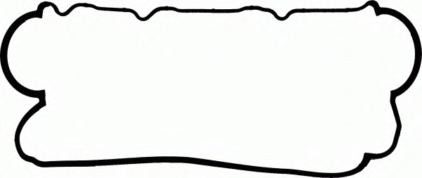71-53536-00 REINZ Прокладка, крышка головки цилиндра