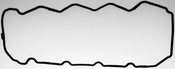 71-53694-00 REINZ Прокладка, крышка головки цилиндра