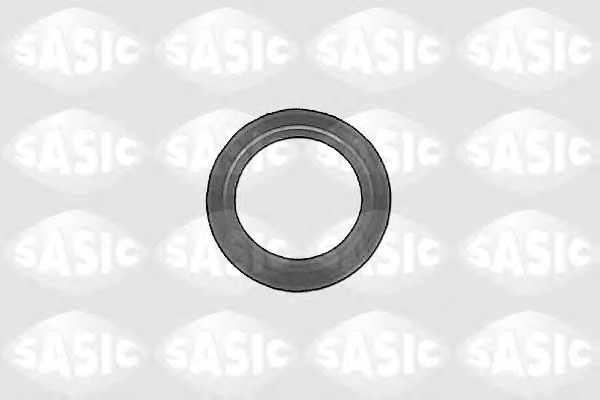 1213093 Sasic Уплотняющее кольцо, дифференциал