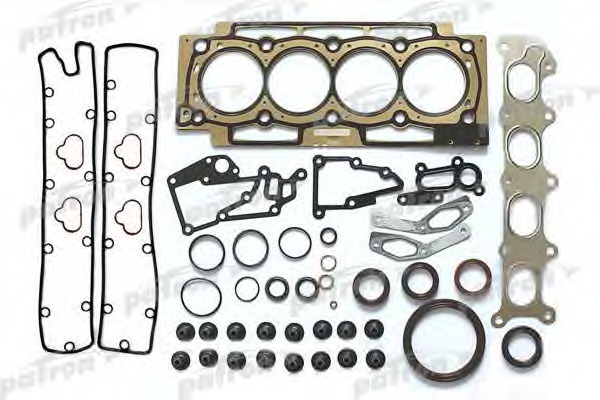 pg1-1009 PATRON Комплект прокладок, двигатель