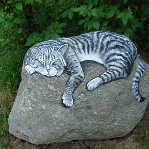 котя на камне.jpg