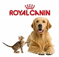 Royal Canin: здоровое питание собак и кошек на протяжении всей жизни