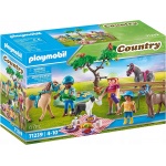 Playmobil. Конструктор арт.71239 "Picnic Adventure with Horses" (Пикник с лошадьми)